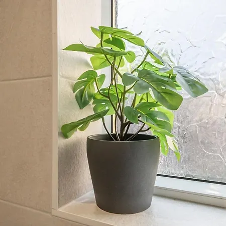 Spacious 5 Bed Close To Elland Road, First Direct Arena & Headingley Stadium Leeds (West Yorkshire)