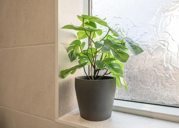 Spacious 5 Bed Close To Elland Road, First Direct Arena & Headingley Stadium Leeds (West Yorkshire)